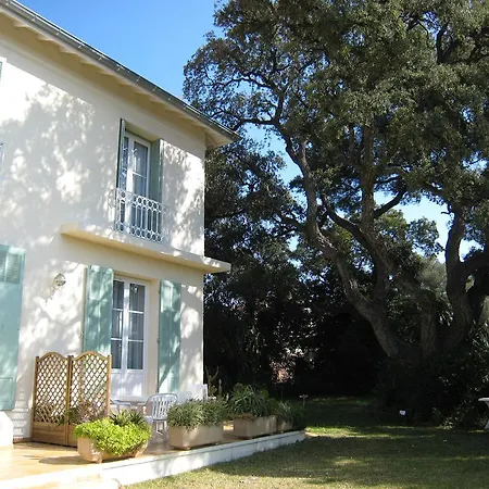 Costeur Solviane Saint-Raphaël