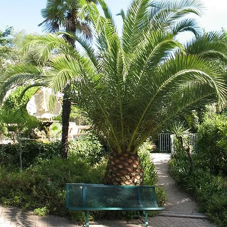 Costeur Solviane Saint-Raphaël