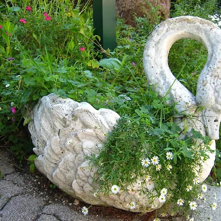 Costeur Solviane * Saint-Raphael (Var)